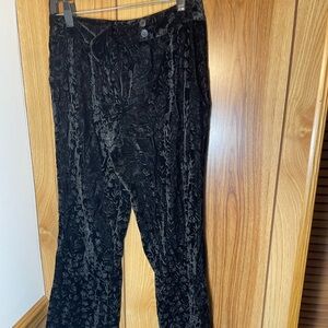 Spiegel Black Velvet Pants
